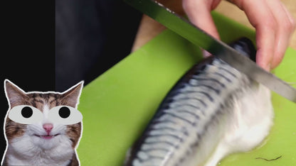 Knife Sharpener - Multi-Functional & Adjustable Settings